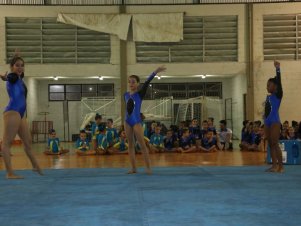 Festival de Ginastica 2018/2