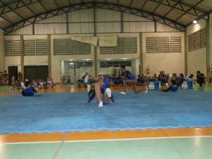 Festival de Ginastica 2018/2