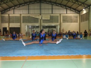 Festival de Ginastica 2018/2