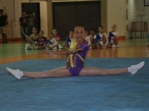 Festival de Ginastica 2018/2