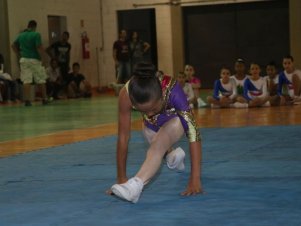 Festival de Ginastica 2018/2