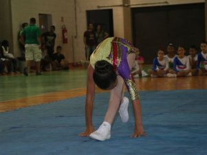 Festival de Ginastica 2018/2