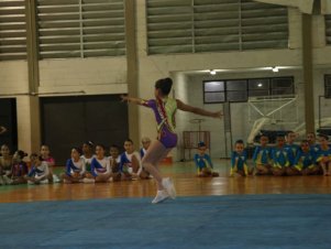 Festival de Ginastica 2018/2