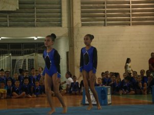 Festival de Ginastica 2018/2