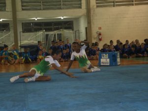 Festival de Ginastica 2018/2