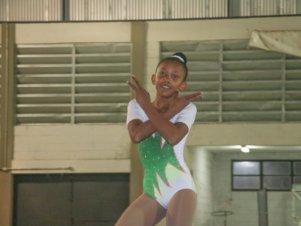 Festival de Ginastica 2018/2