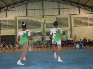 Festival de Ginastica 2018/2