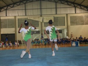 Festival de Ginastica 2018/2