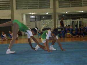 Festival de Ginastica 2018/2