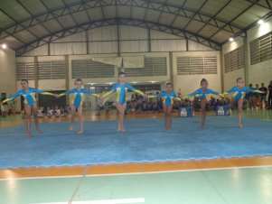 Festival de Ginastica 2018/2