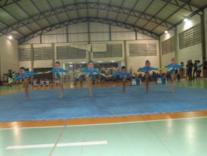 Festival de Ginastica 2018/2