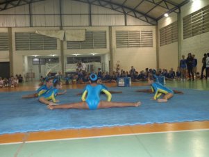 Festival de Ginastica 2018/2