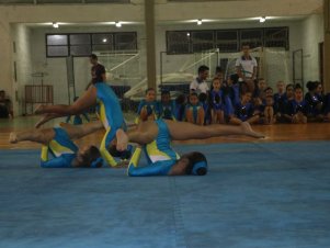 Festival de Ginastica 2018/2