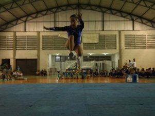 Festival de Ginastica 2018/2