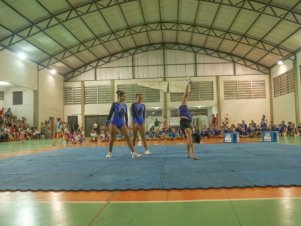 Festival de Ginastica 2018/2