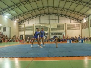 Festival de Ginastica 2018/2