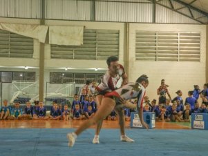 Festival de Ginastica 2018/2