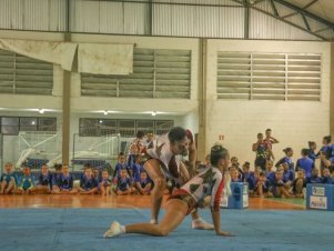 Festival de Ginastica 2018/2