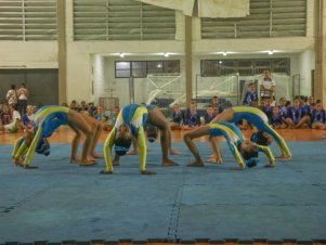 Festival de Ginastica 2018/2