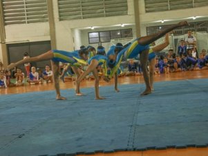 Festival de Ginastica 2018/2