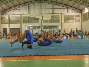 Festival de Ginastica 2018/2