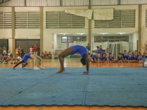 Festival de Ginastica 2018/2