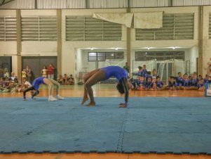 Festival de Ginastica 2018/2