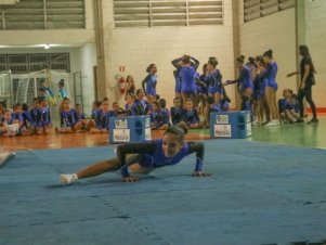 Festival de Ginastica 2018/2