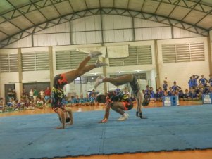 Festival de Ginastica 2018/2