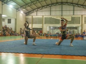 Festival de Ginastica 2018/2