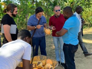 UFLA participa de cooperação humanitária no Haiti para implantar cultura do coco anão verde