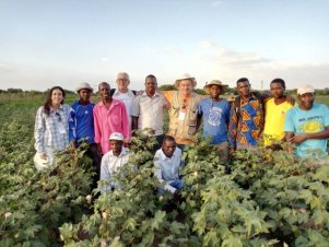 Equipe da UFLA realiza ações do projeto Cotton Victoria em países africanos