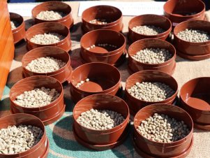 Encontro Sul mineiro de Cafeicultores 2019