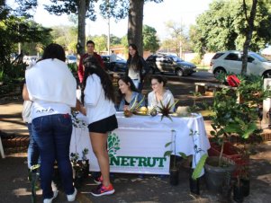 UFLA de Portas Abertas 2019 - Completo