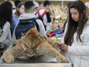 UFLA de Portas Abertas 2019 - Completo