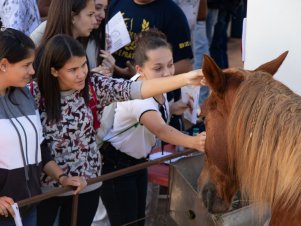 UFLA de Portas Abertas 2019 - Completo