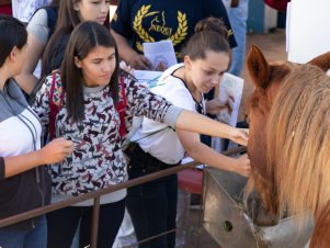 UFLA de Portas Abertas 2019 - Completo