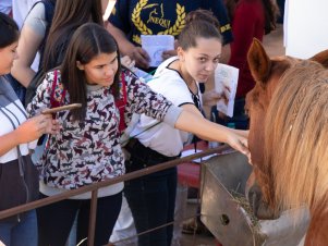 UFLA de Portas Abertas 2019 - Completo