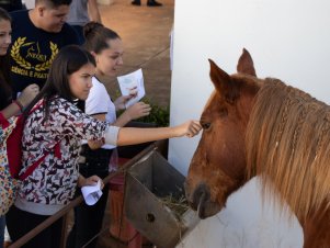 UFLA de Portas Abertas 2019 - Completo