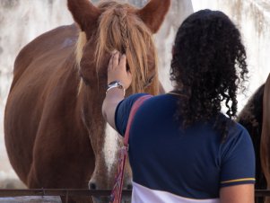 UFLA de Portas Abertas 2019 - Completo