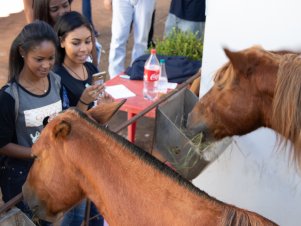 UFLA de Portas Abertas 2019 - Completo