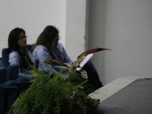 VII Simpósio Mineiro de Suinocultura e a IV Conferência Internacional de Suinocultura 