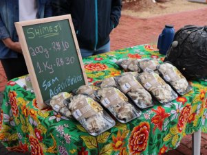 Feira com Agricultores em Agroecologia