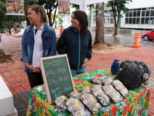 Feira com Agricultores em Agroecologia