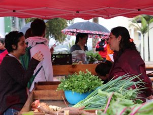 Feira com Agricultores em Agroecologia