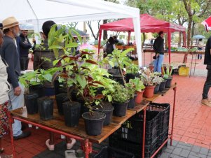 Feira com Agricultores em Agroecologia