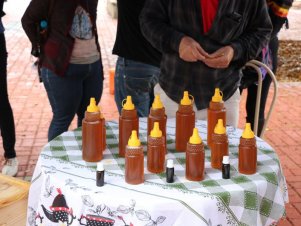 Feira com Agricultores em Agroecologia