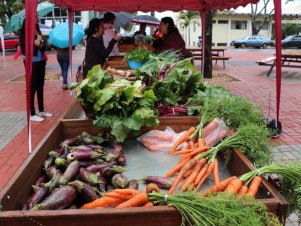 Feira com Agricultores em Agroecologia