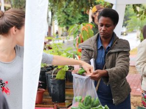 Feira com Agricultores em Agroecologia