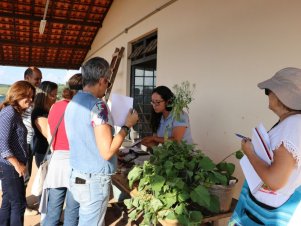 UFLA faz Extensão reuniu mais de 900 pessoas 